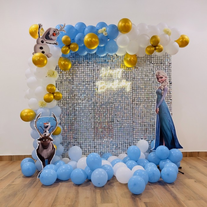 Frozen Theme Decoration for Birthday