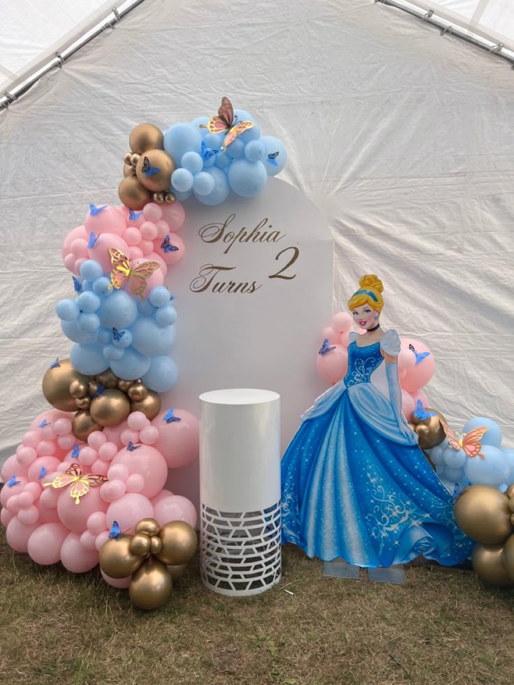 Princess Cinderella Dream Birthday Backdrop