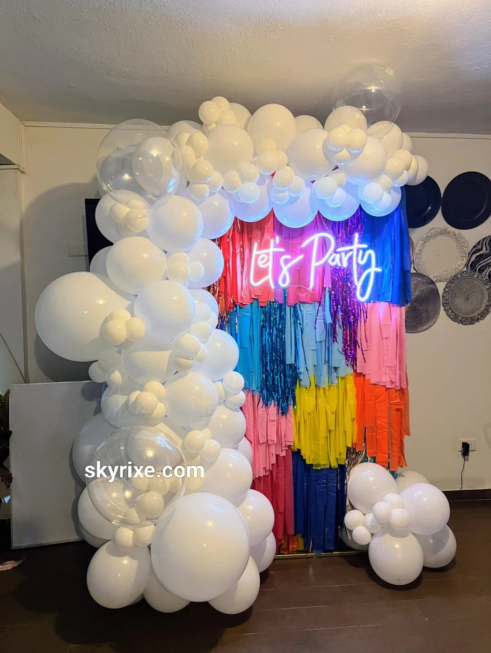 Rainbow Fringe Party Backdrop Decoration