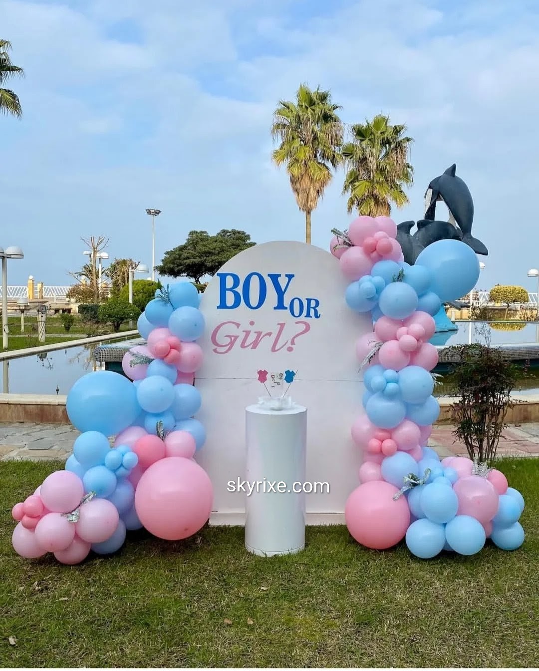 Boy or Girl Gender Reveal Balloon Backdrop